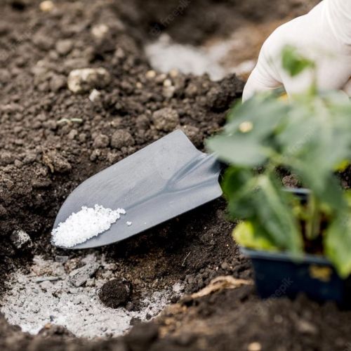 تأثیر سولفات منگنز در کشاورزی و باغداری: راهکاری مؤثر برای افزایش بهره‌وری و کیفیت محصولات